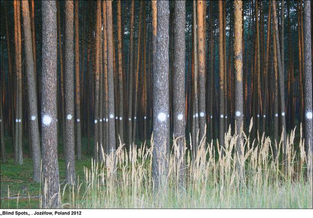 Artist Mikael Hansen. 'Blind Spots' Artwork Image, Created in 2012, Original Sculpture Other. #art #artist