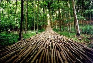 Mikael Hansen: 'Organic Highway', 1995 Outdoor Installation, Landscape. A wedge in a hillside constructed between the trees in a forest. TICKON, Denmark...