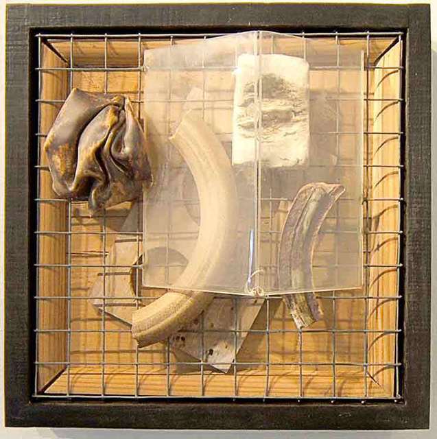 Michael Gosbee  'Ambiguous Saturation', created in 2010, Original Assemblage.