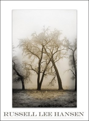 Russell Hansen: 'Embrace', 2007 Color Photograph, Christian.  Two trees have grown together locked in a natural 