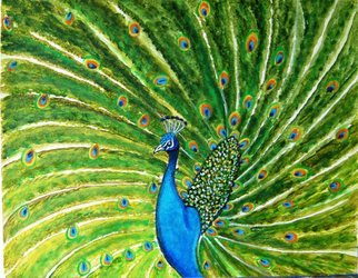 Manjiri Kanvinde: 'Glorious Peacock', 2010 Acrylic Painting, Birds.   This painting is a definite 'WOW' ! In' Glorious Peacock' I have tried to capture the beauty of this beautiful bird. In Asia, the feathers of the peacock are considered auspicious and protective. In both the Hindu and the Buddhist traditions, the peacock' s influence is mainly in the realm of...