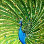 Glorious Peacock By Manjiri Kanvinde