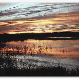 Martha Johnson: 'Magic Valley Sunset', 1994 Color Photograph, Landscape. Artist Description: The setting sun reflects fire- like colors off the calm waters of White Cat Cove on Harlan County Lake....