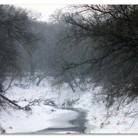Martha Johnson: 'Wilderness Park Winter', 1998 Color Photograph, Landscape. Artist Description: Cold mist hangs over Salt Creek in Wilderness Park, Lincoln, NE....