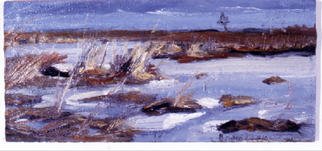 Michelle Mendez: 'Beach Grass in Snow', 2002 Oil Painting, Landscape. oil on panel, Estuary by Quincy Shore Drive, Quincy, Mass....