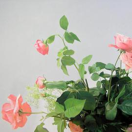 Edmond Gjikopulli: 'roses', 2010 Oil Painting, Floral. 