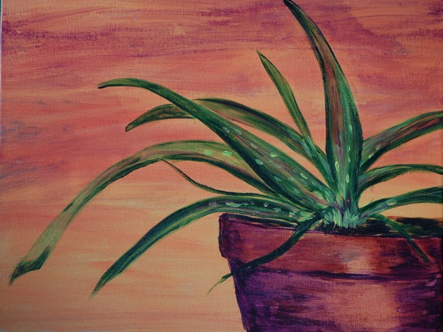 Lauren Mooney Bear  'Dessert Aloe', created in 2010, Original Painting Oil.