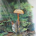 Fairy Shower By Susan Moore