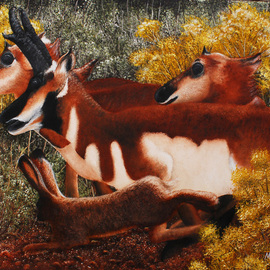 Mike Ross: 'Wanta Race', 2014 Oil Painting, Animals. Artist Description:  A group of pronghorn antelope and jack rabbit running through sage and rabbit brush.Key Words:Big game, antelope, pronghorn, bucks, does, impressionistic art, impressionism, blues, greens yellows, large canvas, southwestern art, southwestern, windmill, wooden fence, cow skull, flowers, oil paintings, oils, large oils, prints, rolled prints, framed ...