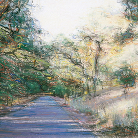 Oak Path By Steven Gordon