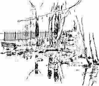 Michael Garr: 'Hazard Garden', 2005 Pen Drawing, nature. Seldom used garden public in Peace Dale RI...