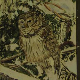 Shakespeare the Barred Owl in snow By Michael Garr
