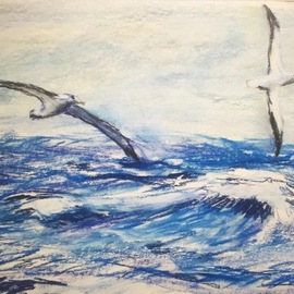 Michael Garr: 'albatross in high seas', 2020 Pastel Drawing, Marine. Artist Description: A sketch of the magnificent albatross.  a pair swooping and gliding in the Southern Ocean ...