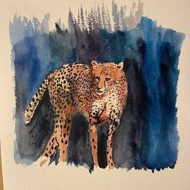 cheetah  By Michael Garr