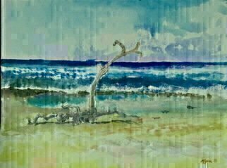 Michael Garr: 'driftwood', 2018 Other, Marine. Ink and Watercolor done on location in Paia, Maui...