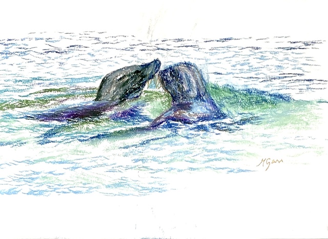 Artist Michael Garr. 'Galapagos Seals Meet And Greet' Artwork Image, Created in 2024, Original Other. #art #artist