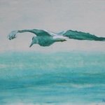 gull over the sea By Michael Garr