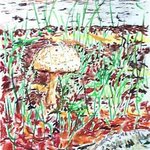 Mushroom By The Conklin House, Michael Garr