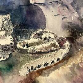 snow leopard  By Michael Garr