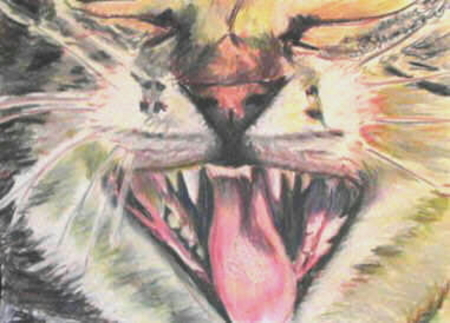 Michael Garr  'Yawn', created in 2008, Original Drawing Pastel.