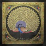 Golden Peacock, Mayank Salvi