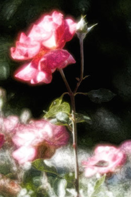 Artist Nabil William. 'Flower' Artwork Image, Created in 2008, Original Collage. #art #artist