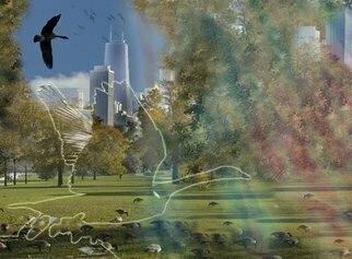 Nancy Bechtol: 'Chicago Geese  linear', 2008 Other Photography, Animals.  Chicago Geese view from lincon park with additional drawings 1. 0 ...