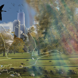 Nancy Bechtol: 'Chicago Geese  linear', 2008 Other Photography, Animals. Artist Description:  Chicago Geese view from lincon park with additional drawings 1. 0 ...