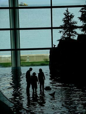 Nancy Bechtol: 'Dolphin Encounters', 2007 Other Photography, Spiritual.  Silhouetted against Chicago Skyline, visitors encounter the Dolphins at the Shedd Aquarium ...
