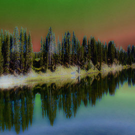 Nancy Bechtol: 'Forest magical place', 2009 Color Photograph, Landscape. Artist Description: transformed vision of trees in Montana ...