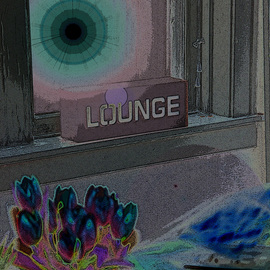 Nancy Bechtol: 'Lounge x', 2004 Other Photography, Still Life. Artist Description:  Still life of window flowers, highly processed fx ...