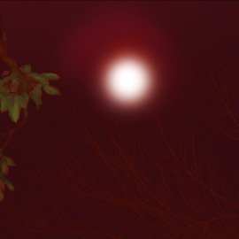 Nancy Bechtol: 'RED MOON', 2006 Other Photography, Landscape. Artist Description: A night when the glow of the moon was red. Red like I have never seen it before. other sizes available/ other pricing with framed available. request...