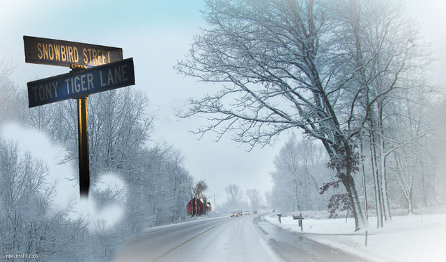 Artist Nancy Bechtol. 'Snowbird Lane' Artwork Image, Created in 2009, Original Photography Mixed Media. #art #artist