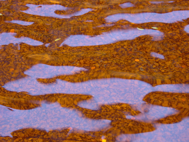 Nancy Bechtol  'Still Orange Puddle', created in 2006, Original Photography Mixed Media.
