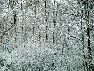 Nancy Bechtol: 'Winterlines', 2008 Other Photography, Landscape. Framed at 16x20 Archival print signed winter scene cold white ...