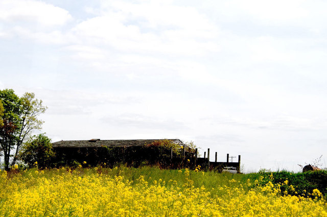 Nancy Bechtol  'Yellow Field Country', created in 2010, Original Photography Mixed Media.