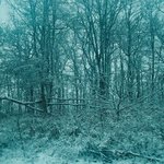 blue serene winter By Nancy Bechtol
