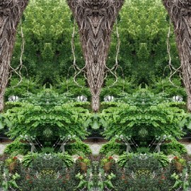 Nancy Bechtol: 'green life faces', 2022 Other Photography, Abstract. Artist Description: Digital Painting. photo- based. people embodied within nature. ...
