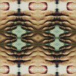 psyche series kalediscopesx By Nancy Bechtol