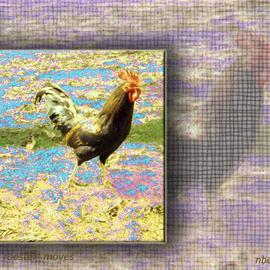 Nancy Bechtol: 'rooster textures', 2003 Other Photography, Animals. Artist Description: rooster in the abstract...