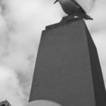 seagull and buildings IV By Nancy Bechtol