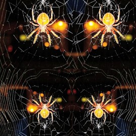 Nancy Bechtol: 'spider web mandala', 2019 Other Photography, Visionary. Artist Description: original photo highly manipulated with intentions of the all hallows eve.  celebrate the web of all.  includes frame and Certificate of Authenticity.  310  Print on archival Epson ...