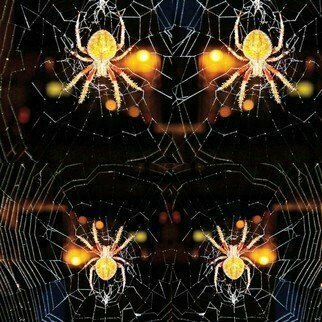 Nancy Bechtol: 'spider web mandala', 2019 Other Photography, Visionary. original photo highly manipulated with intentions of the all hallows eve.  celebrate the web of all.  includes frame and Certificate of Authenticity. 310Print on archival Epson ...