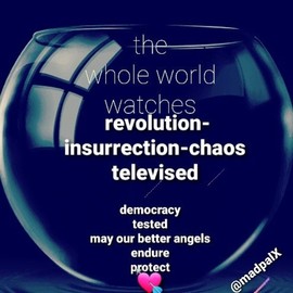 televised insurrection By Nancy Bechtol