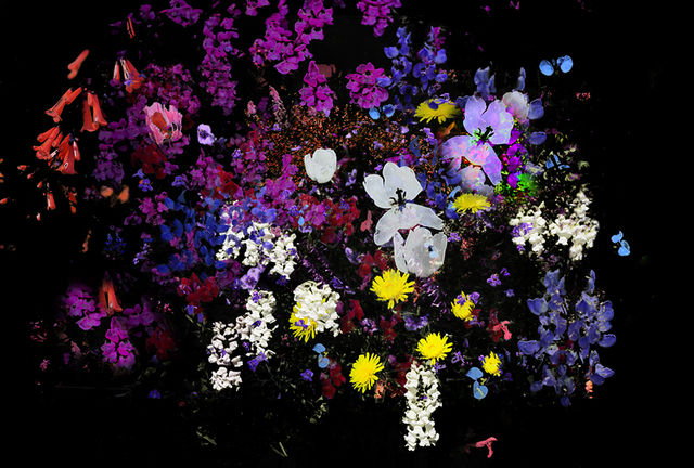 Artist Nancy Wood. 'Evening Floral Dance 1' Artwork Image, Created in 2018, Original Digital Painting. #art #artist