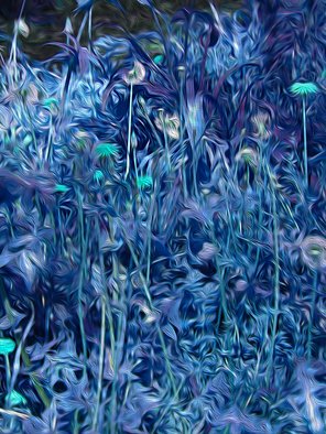Nancy Wood: 'pedernales spring blue', 2019 Digital Painting, Floral. This is a computer- enhanced photograph on canvas with oil embellishments...