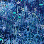 pedernales spring blue By Nancy Wood