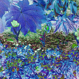 San Antonio Botanical Blue, Nancy Wood