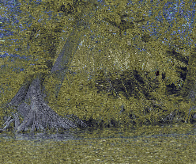 Nancy Wood  'Guadalupe River Dark', created in 2013, Original Photography Other.