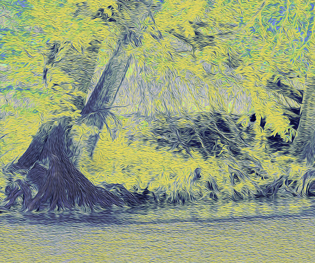 Artist Nancy Wood. 'Guadalupe River Light' Artwork Image, Created in 2013, Original Photography Other. #art #artist